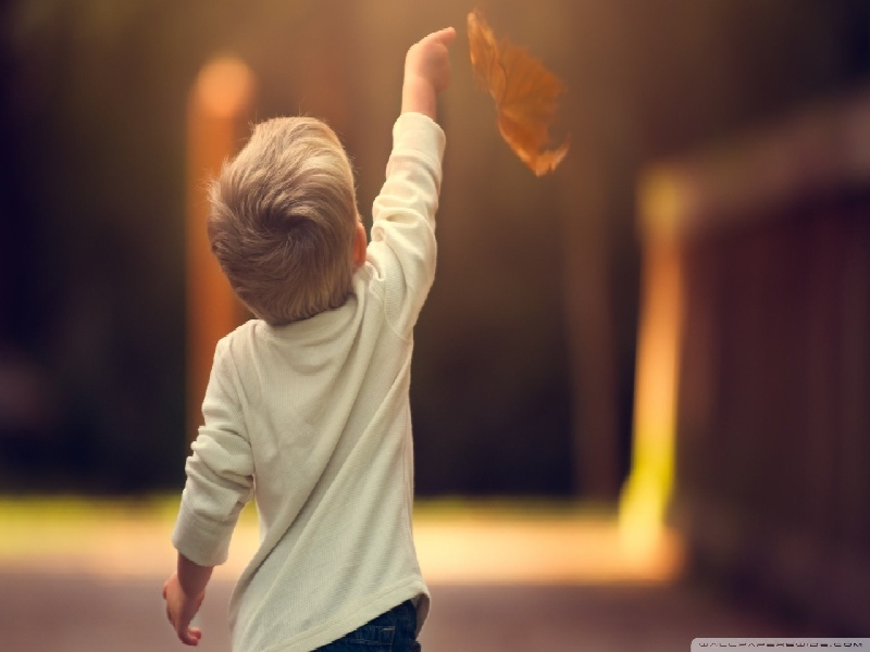 试管跟促排,用试管夹加试