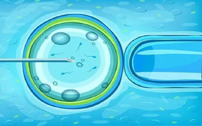 试管头盖的颜色代生